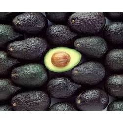 12 hass avocados